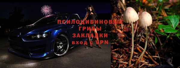 МДПВ Горнозаводск
