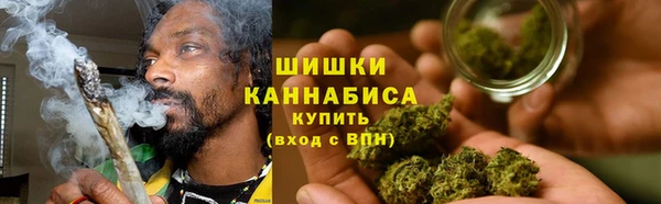 гидра Горняк