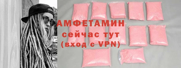 гидра Горняк