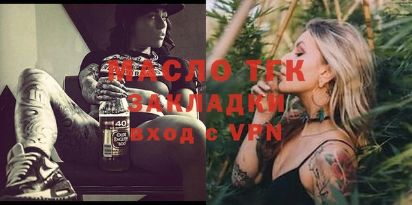 гидра Горняк