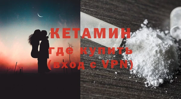 гидра Горняк