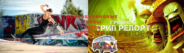 МДПВ Горнозаводск
