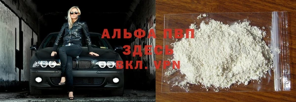 гидра Горняк