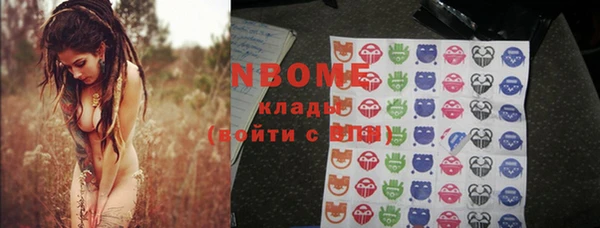 гидра Горняк