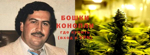 МДПВ Горнозаводск